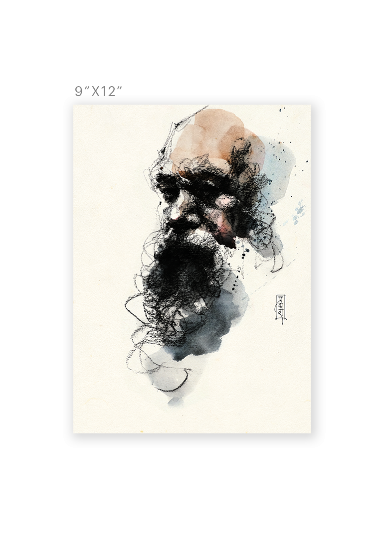 The Quiet Contemplation